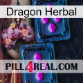 Dragon Herbal 03